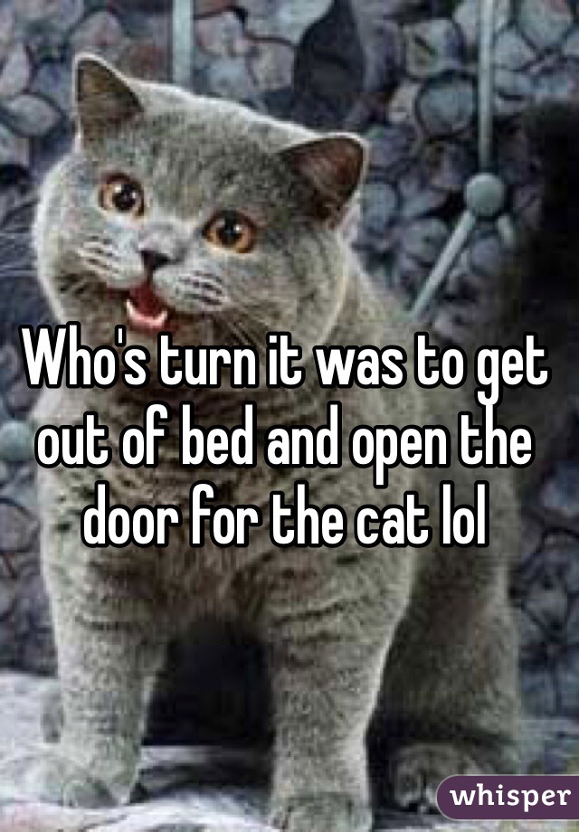 Who's turn it was to get out of bed and open the door for the cat lol