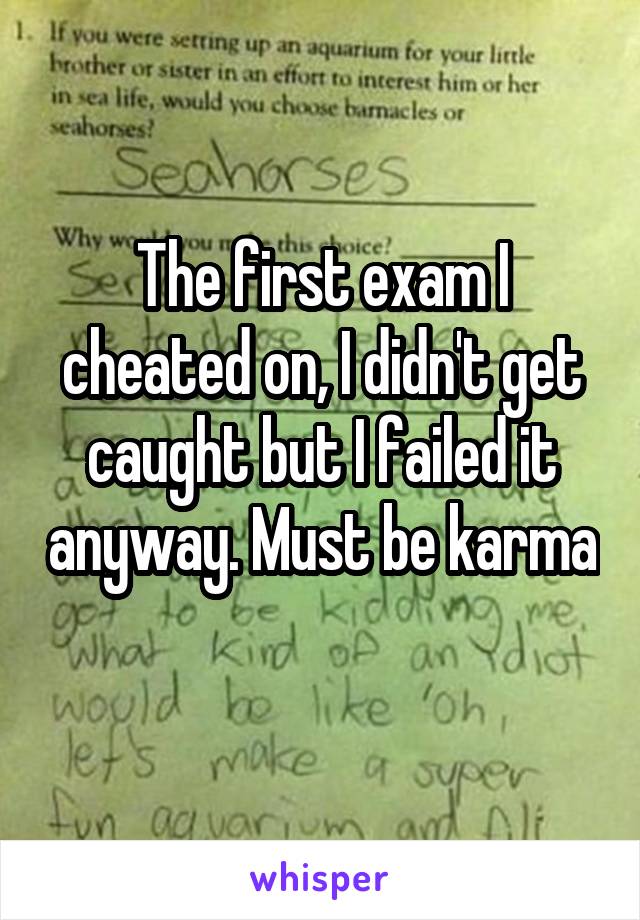 The first exam I cheated on, I didn't get caught but I failed it anyway. Must be karma
