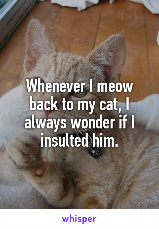 Whenever I meow back to my cat, I always wonder if I insulted him.