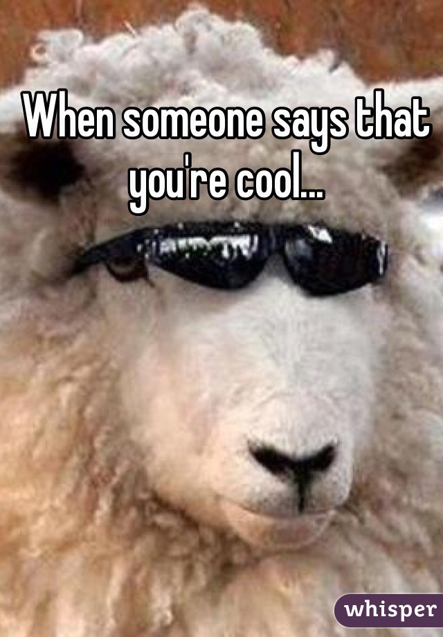 When someone says that you're cool...