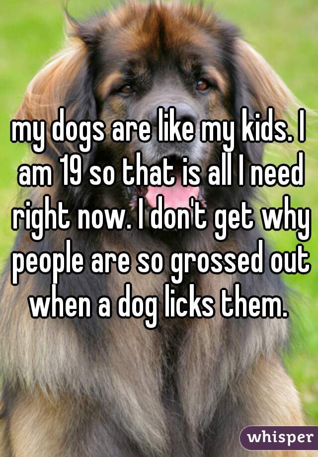 my dogs are like my kids. I am 19 so that is all I need right now. I don't get why people are so grossed out when a dog licks them. 