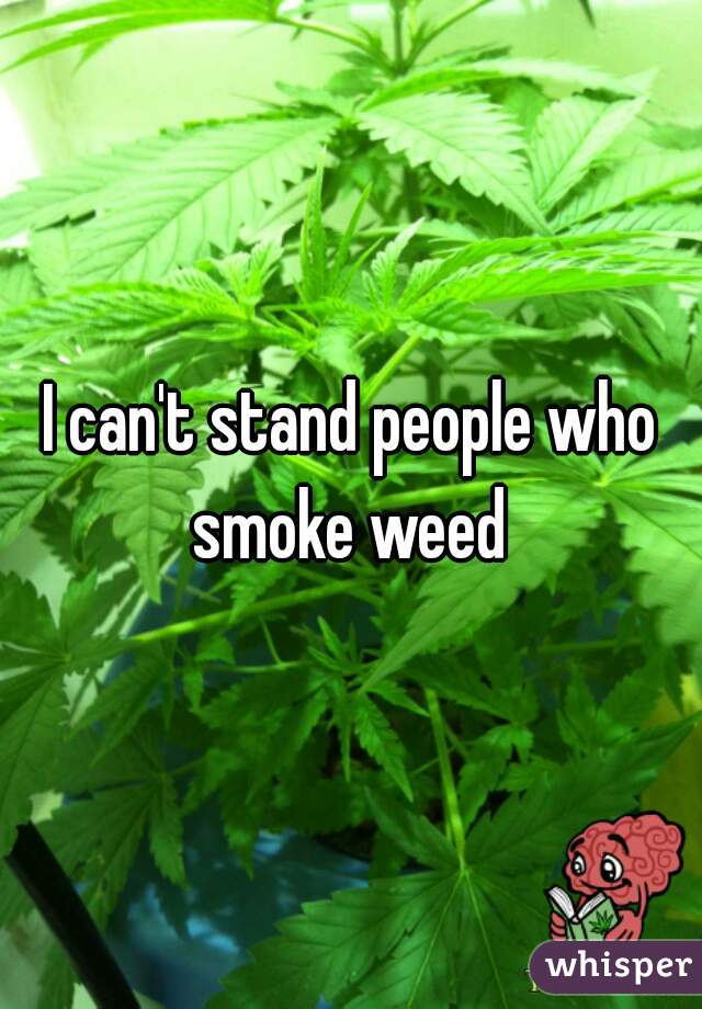 I can't stand people who smoke weed 