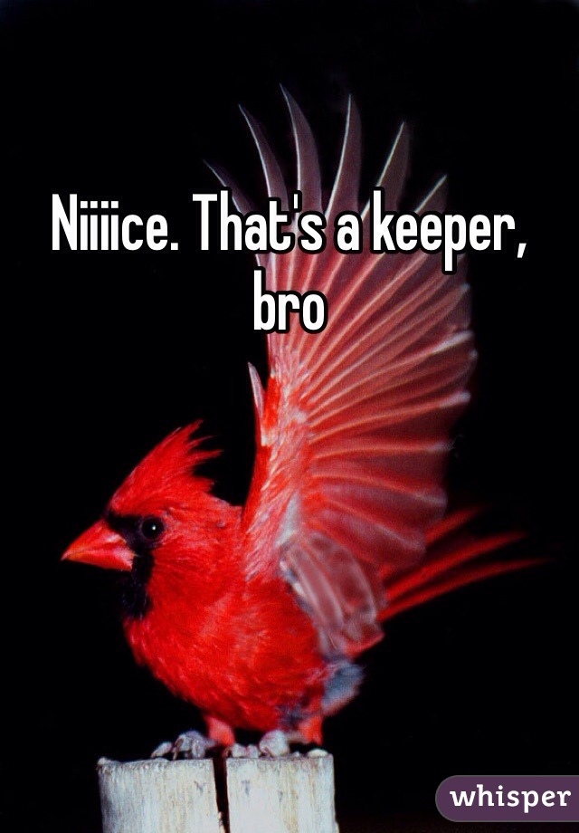 Niiiice. That's a keeper, bro