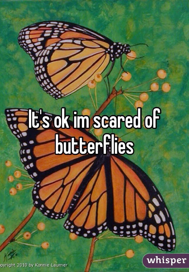 It's ok im scared of butterflies