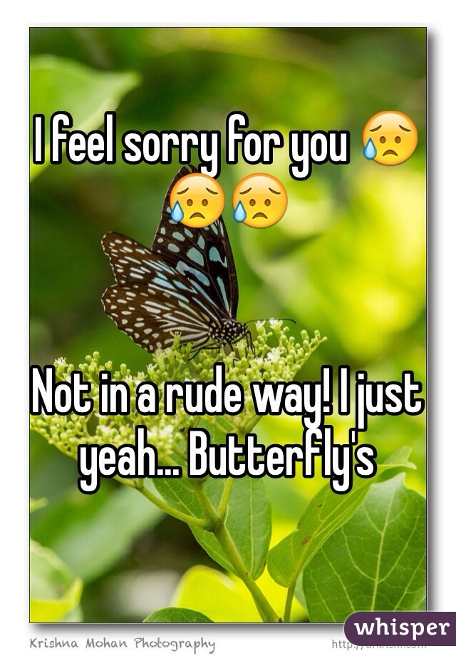 I feel sorry for you 😥😥😥 


Not in a rude way! I just yeah... Butterfly's 