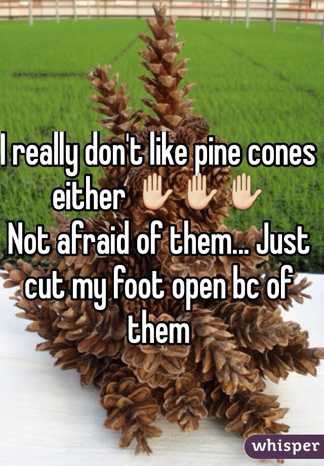 I really don't like pine cones either ✋✋✋ 
Not afraid of them... Just cut my foot open bc of them 