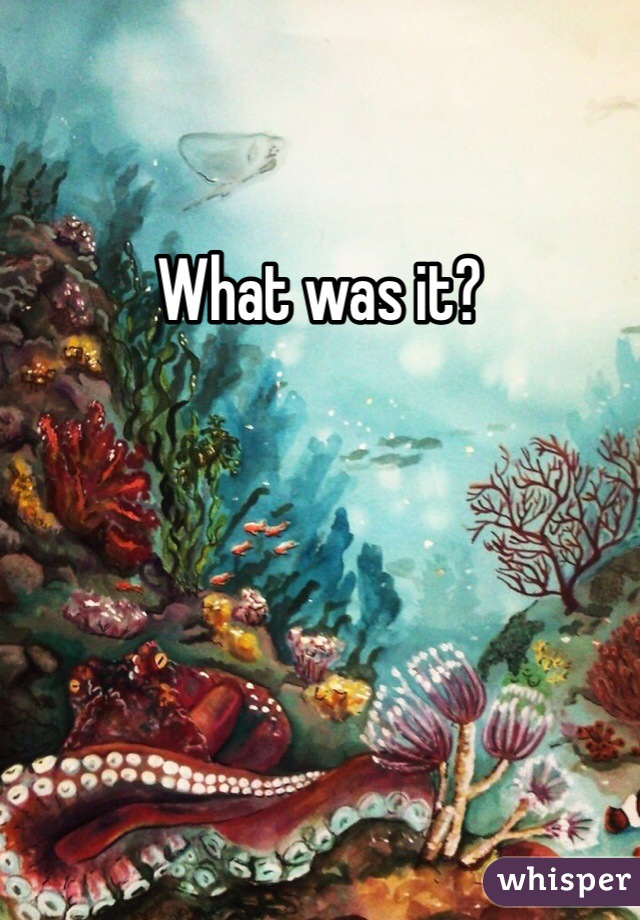 What was it? 