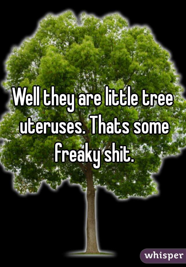 Well they are little tree uteruses. Thats some freaky shit.