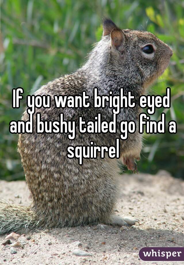 If you want bright eyed and bushy tailed go find a squirrel

