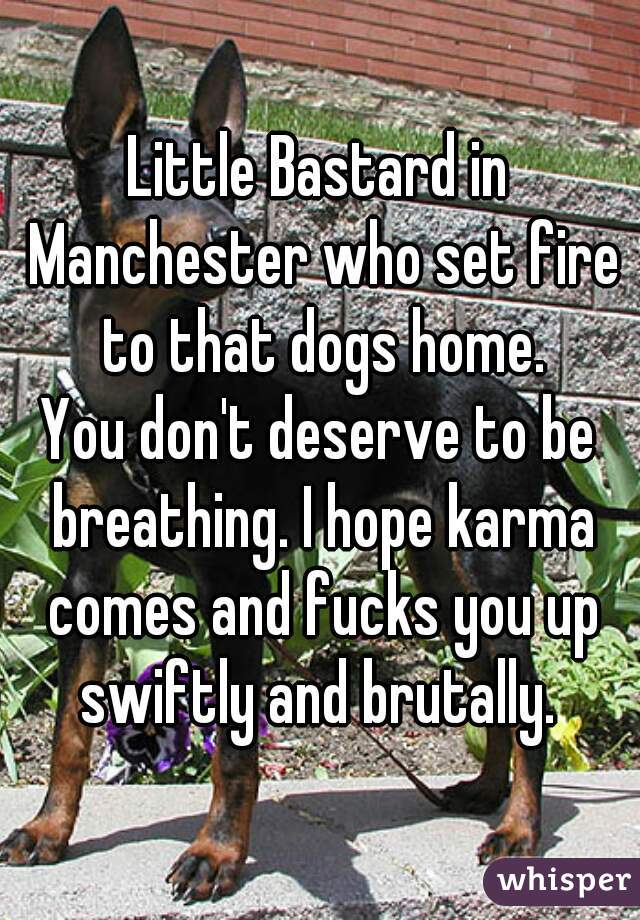 Little Bastard in Manchester who set fire to that dogs home.
You don't deserve to be breathing. I hope karma comes and fucks you up swiftly and brutally. 