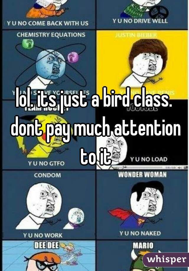 lol. its just a bird class. dont pay much attention to it