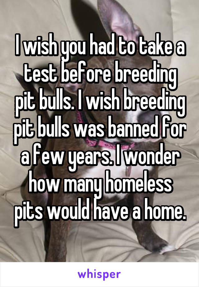 I wish you had to take a test before breeding pit bulls. I wish breeding pit bulls was banned for a few years. I wonder how many homeless pits would have a home. 