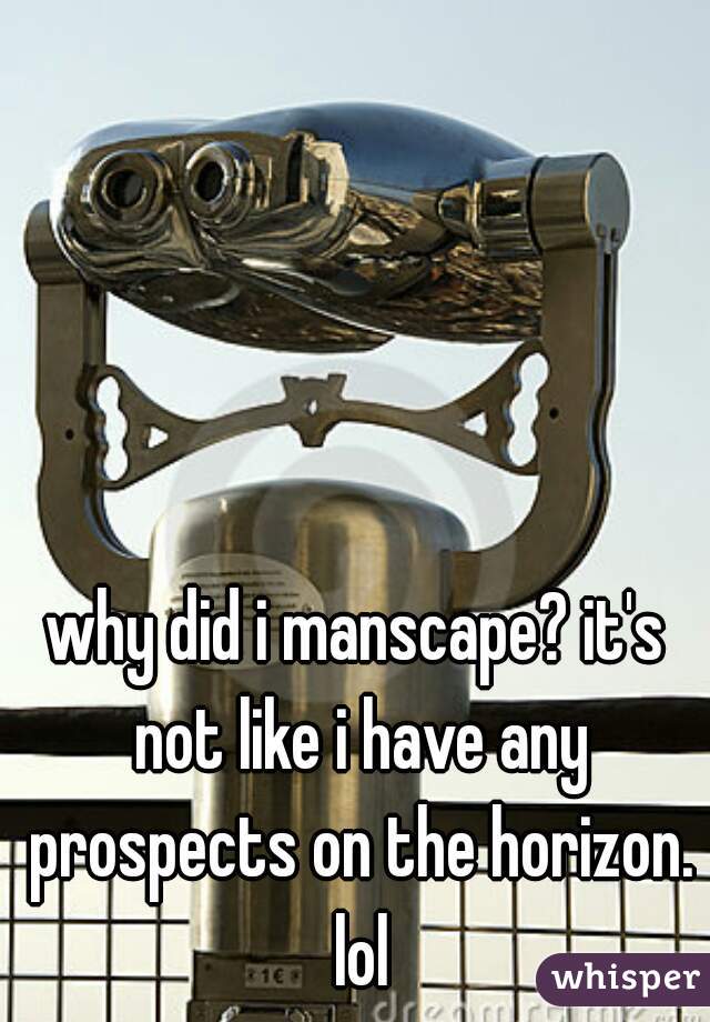 why did i manscape? it's not like i have any prospects on the horizon. lol