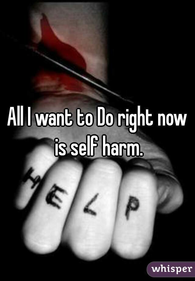 All I want to Do right now is self harm.