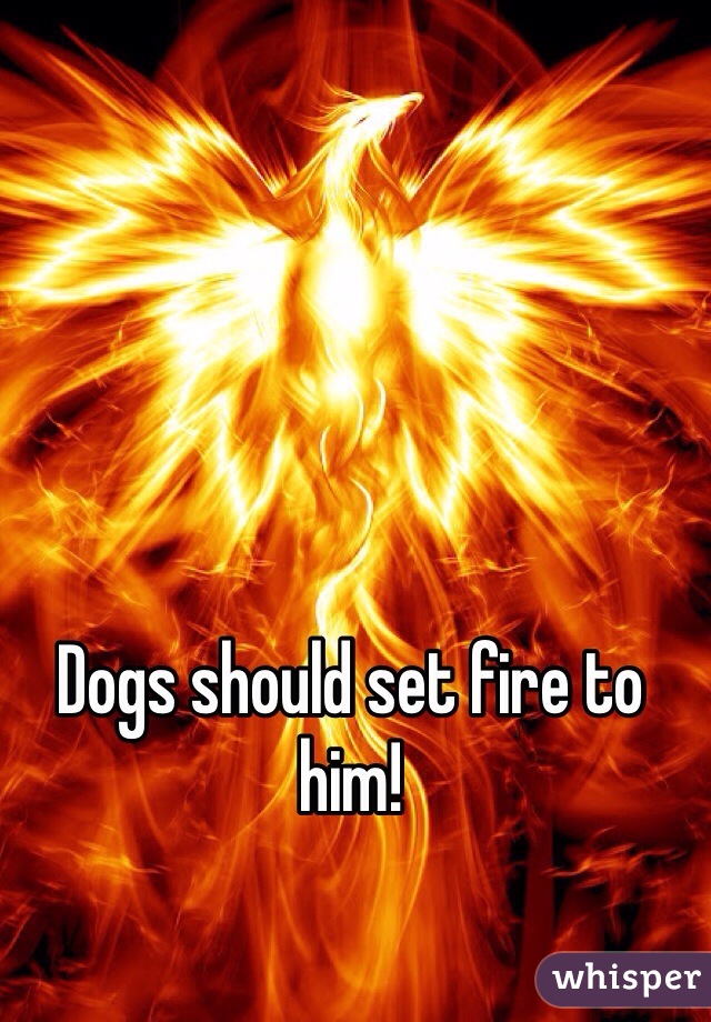 Dogs should set fire to him!