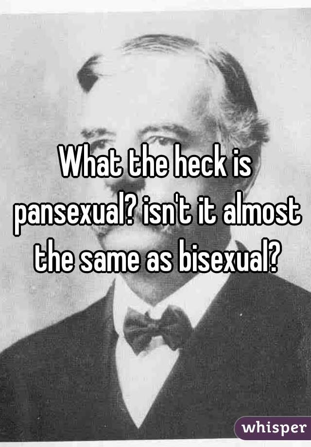 What the heck is pansexual? isn't it almost the same as bisexual?