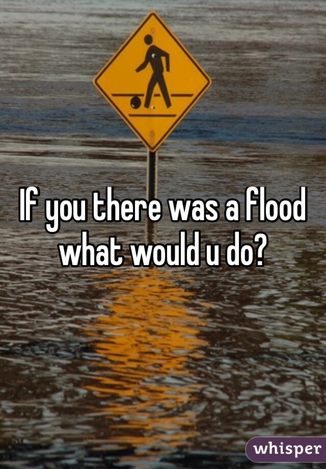 If you there was a flood what would u do?
