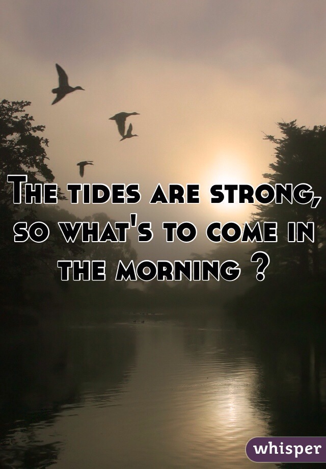The tides are strong, so what's to come in the morning ?
