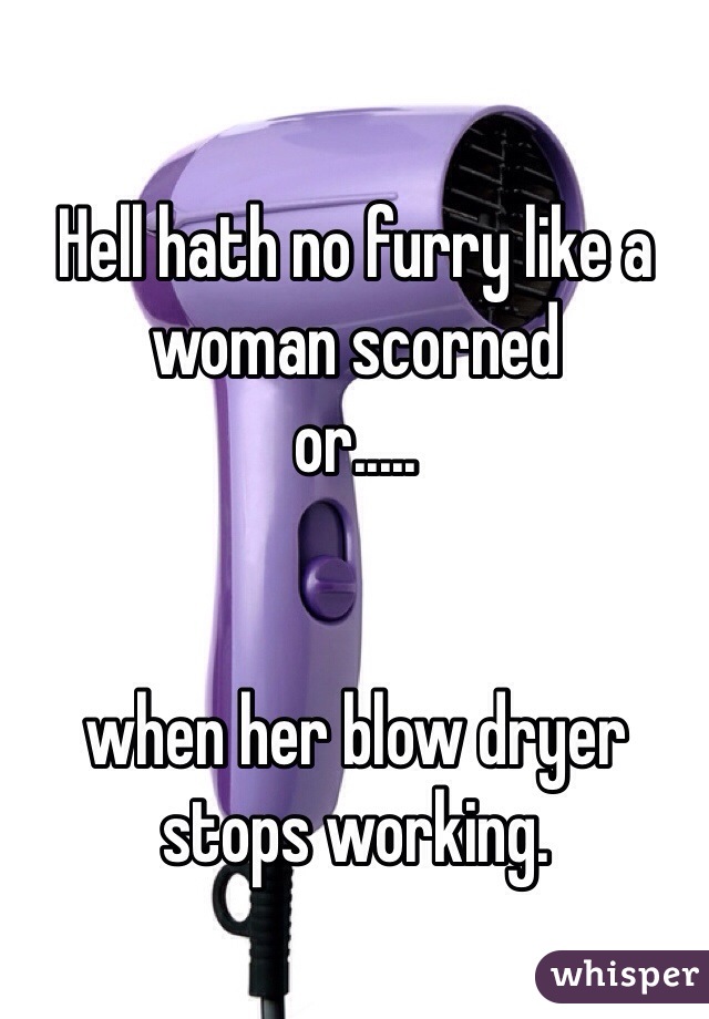 Hell hath no furry like a woman scorned
or.....


when her blow dryer stops working. 