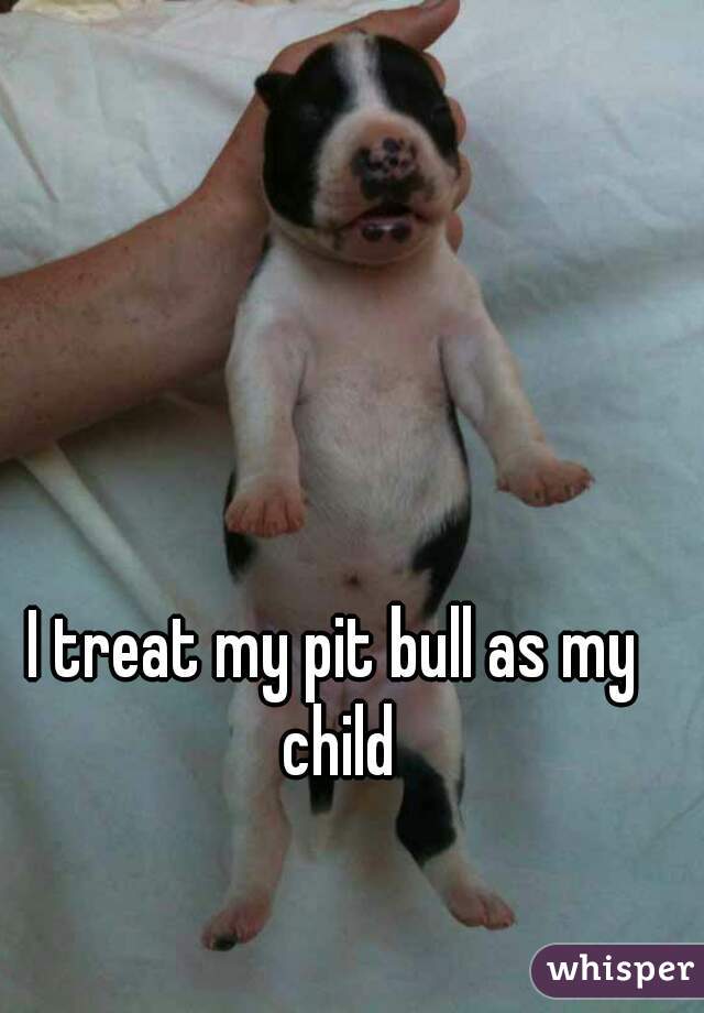 I treat my pit bull as my child