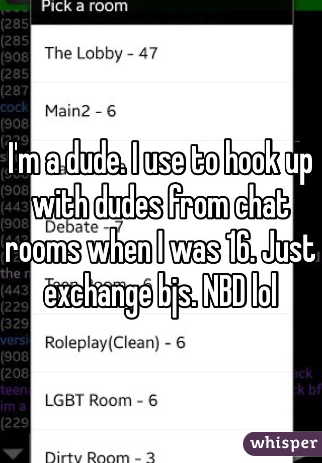 I'm a dude. I use to hook up with dudes from chat rooms when I was 16. Just exchange bjs. NBD lol
