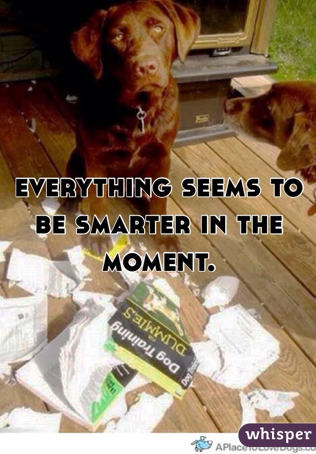 everything seems to be smarter in the moment. 
