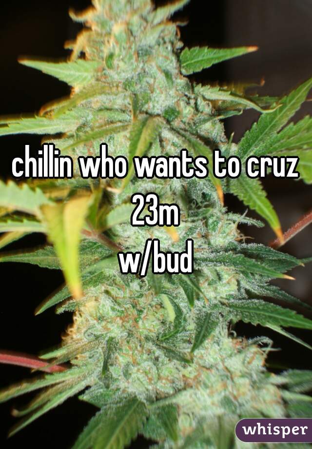chillin who wants to cruz 23m 
w/bud