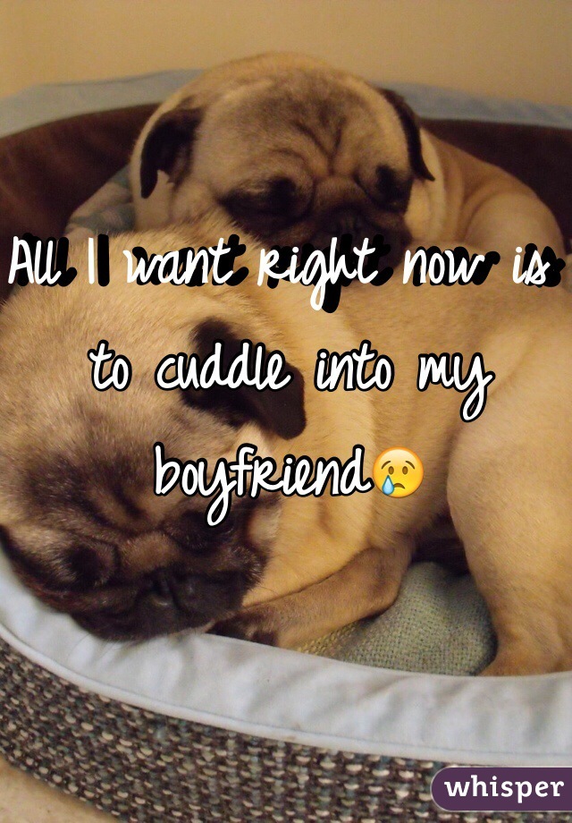 All I want right now is to cuddle into my boyfriend😢