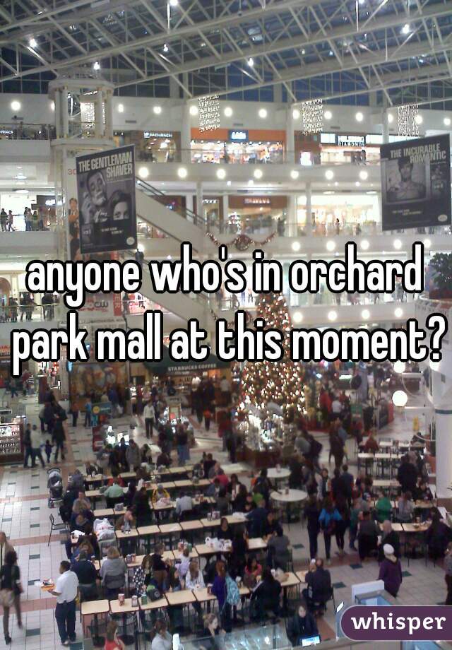 anyone who's in orchard park mall at this moment?