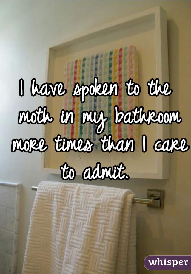 I have spoken to the moth in my bathroom more times than I care to admit. 