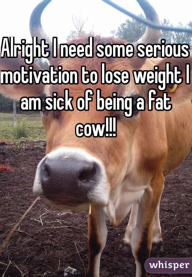 Alright I need some serious motivation to lose weight I am sick of being a fat cow!!! 