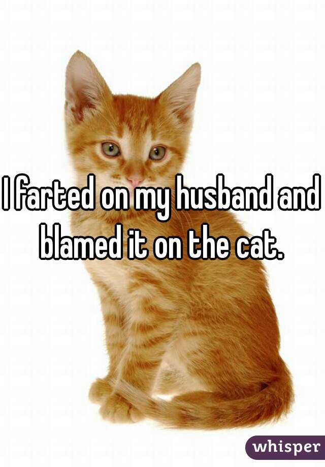 I farted on my husband and blamed it on the cat. 