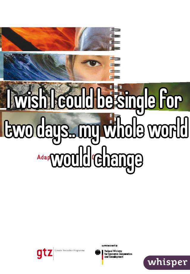 I wish I could be single for two days.. my whole world would change