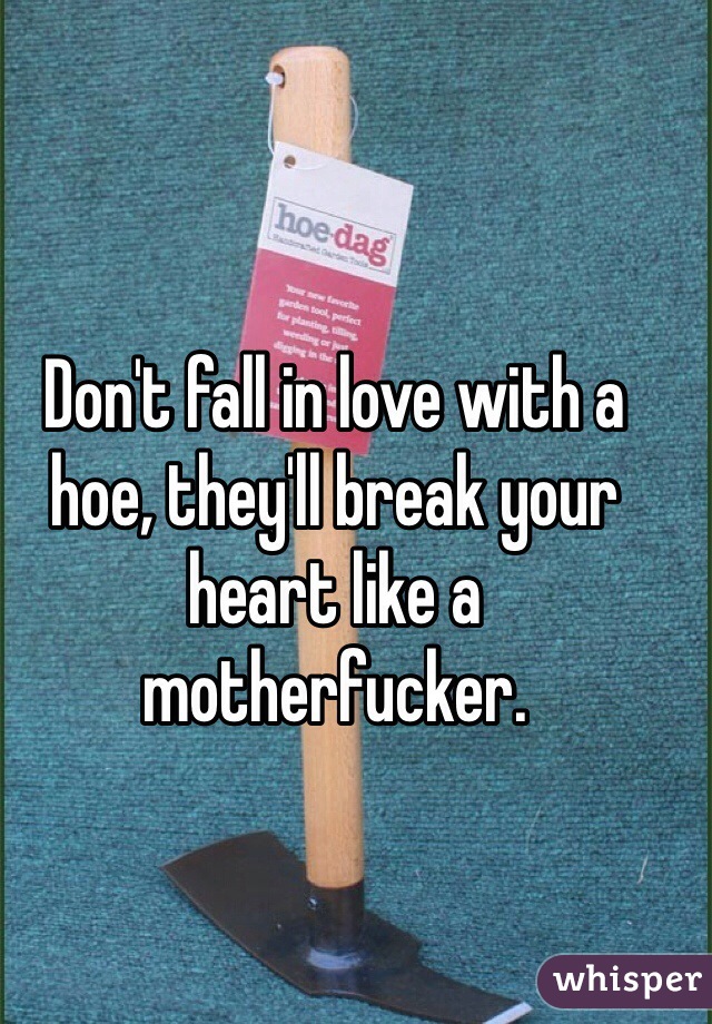 Don't fall in love with a hoe, they'll break your heart like a motherfucker.
