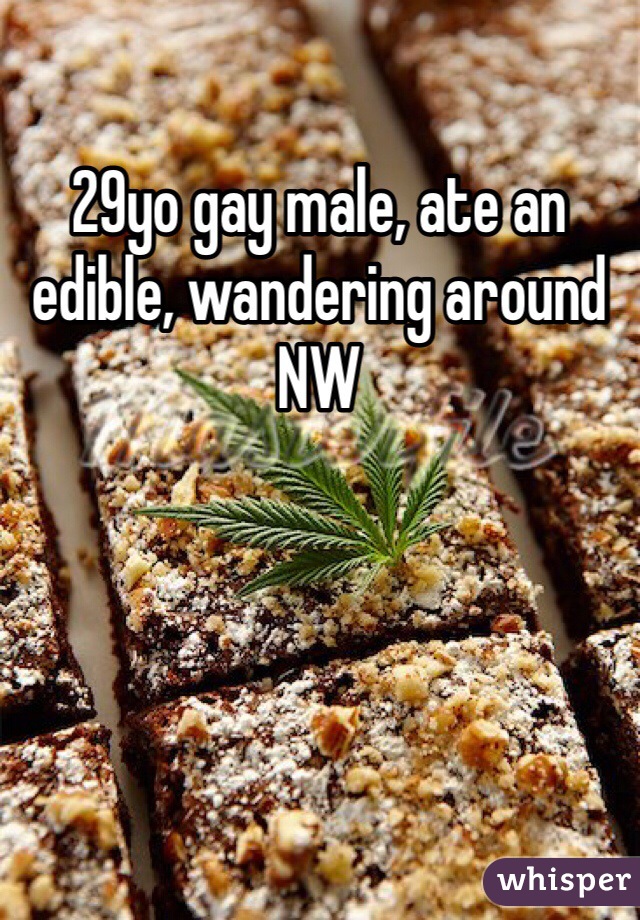 29yo gay male, ate an edible, wandering around NW