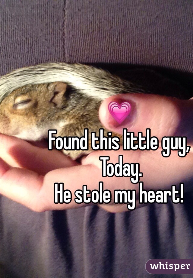 💗 
Found this little guy,
 Today. 
He stole my heart! 
