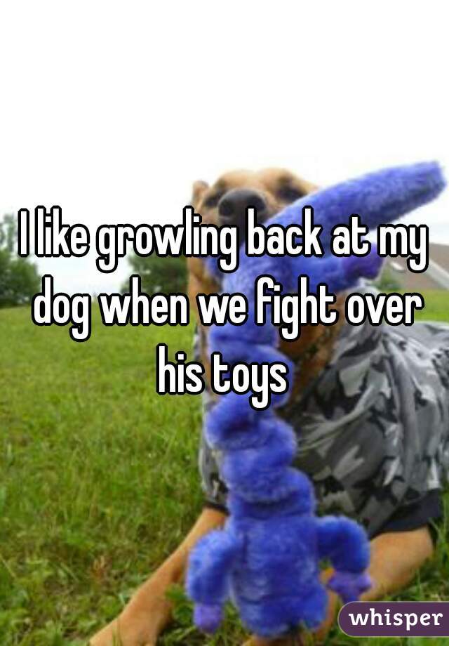 I like growling back at my dog when we fight over his toys 