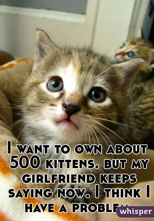 I want to own about 500 kittens. but my girlfriend keeps saying now. I think I have a problem.