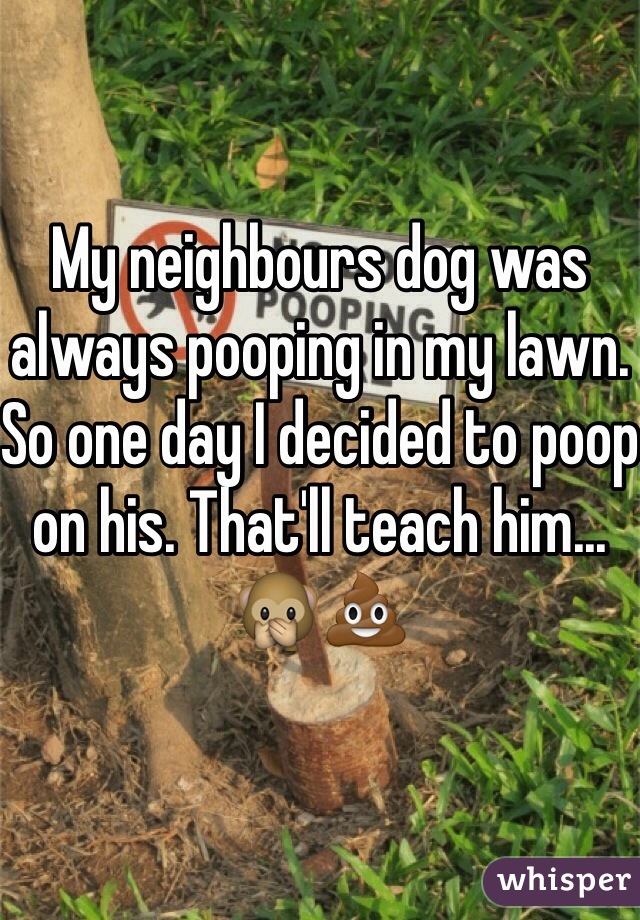 My neighbours dog was always pooping in my lawn. So one day I decided to poop on his. That'll teach him... 🙊💩 