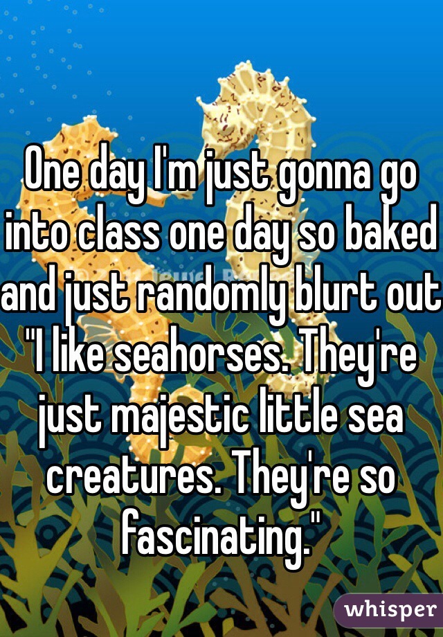 One day I'm just gonna go into class one day so baked and just randomly blurt out "I like seahorses. They're just majestic little sea creatures. They're so fascinating."
