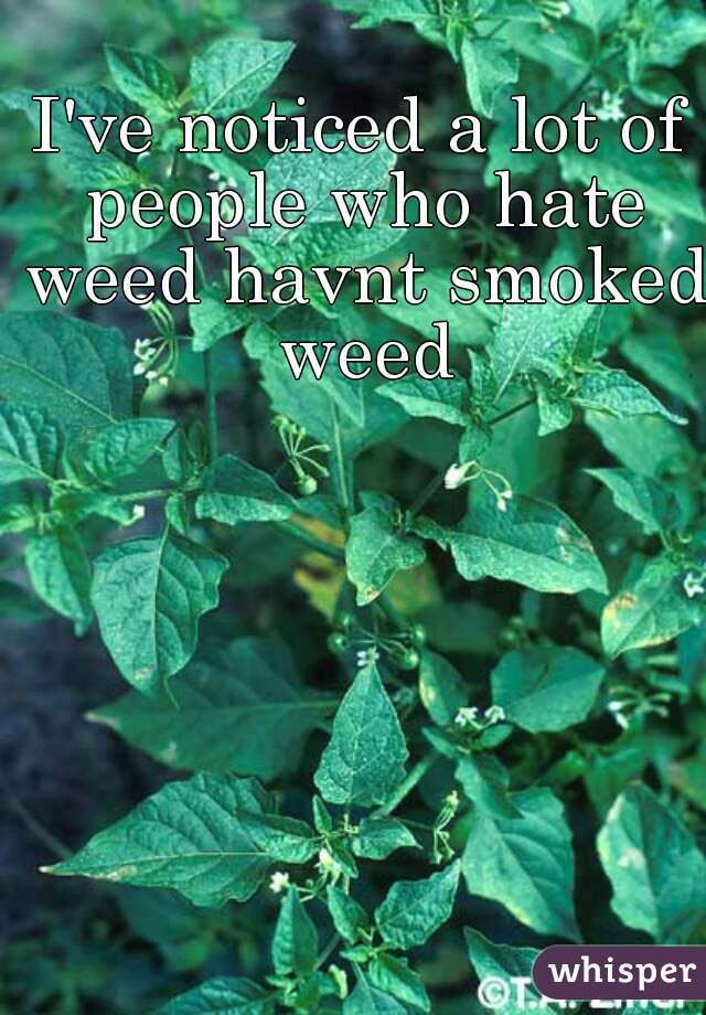 I've noticed a lot of people who hate weed havnt smoked weed