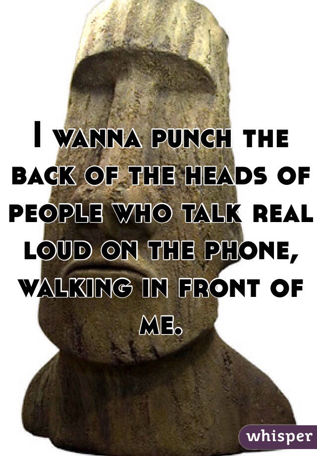 I wanna punch the back of the heads of people who talk real loud on the phone, walking in front of me. 