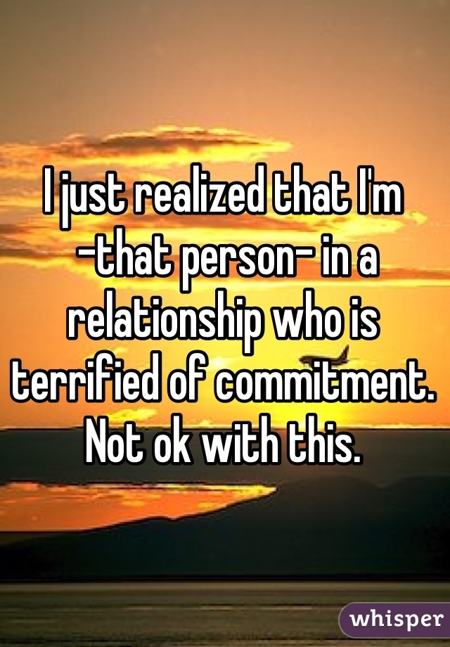 I just realized that I'm
 -that person- in a relationship who is terrified of commitment. 
Not ok with this.