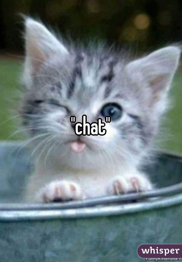 "chat"