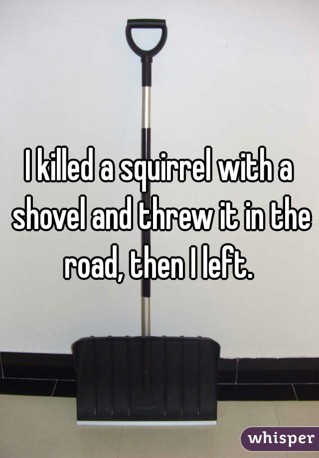 I killed a squirrel with a shovel and threw it in the road, then I left. 
