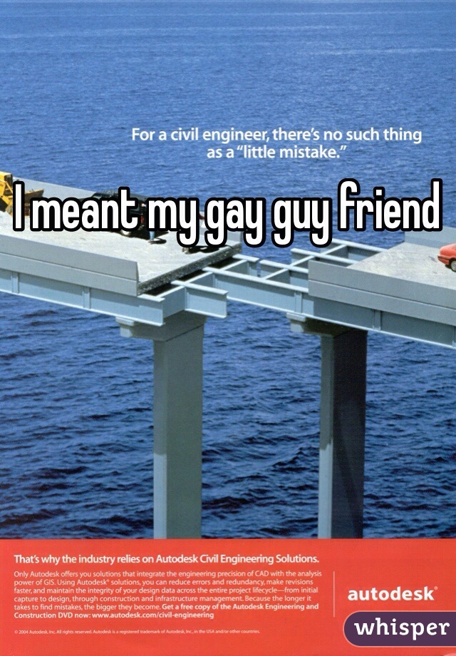 I meant my gay guy friend 