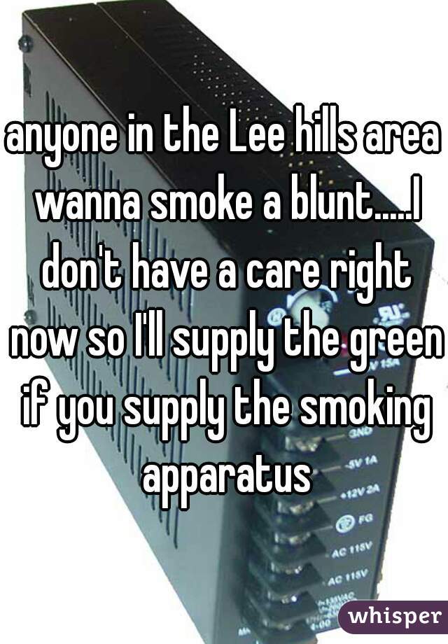 anyone in the Lee hills area wanna smoke a blunt.....I don't have a care right now so I'll supply the green if you supply the smoking apparatus