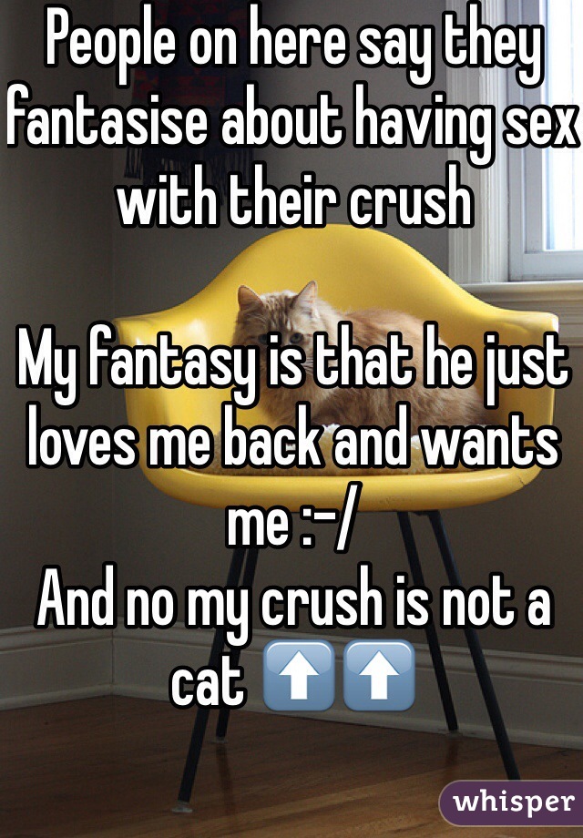 People on here say they fantasise about having sex with their crush

My fantasy is that he just loves me back and wants me :-/
And no my crush is not a cat ⬆️⬆️