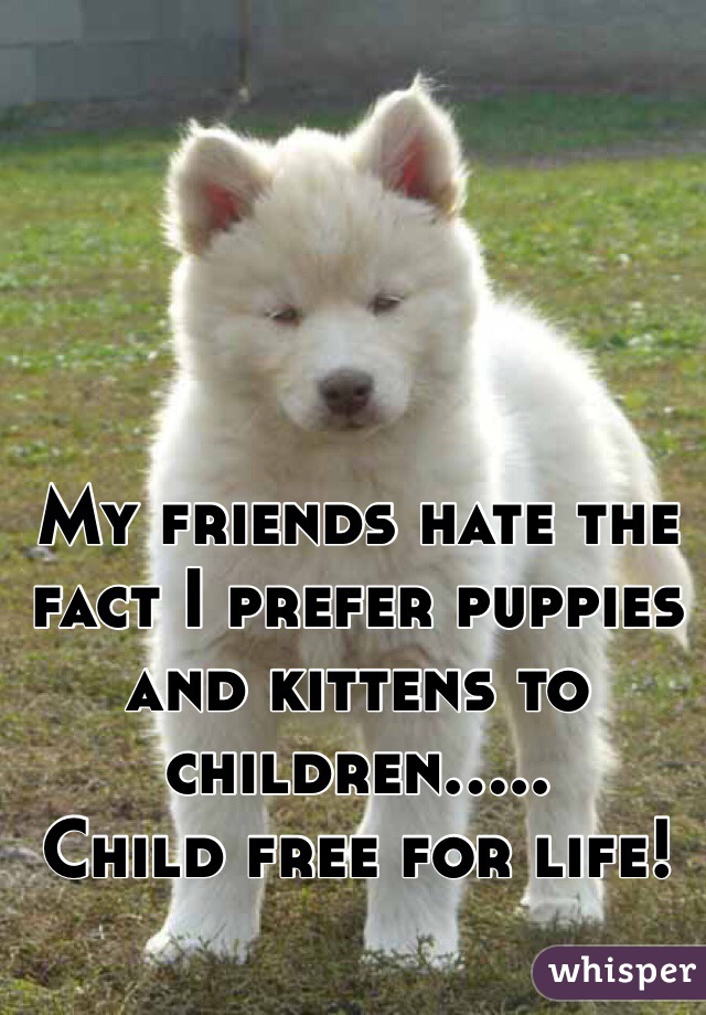 My friends hate the fact I prefer puppies and kittens to children.....
Child free for life! 