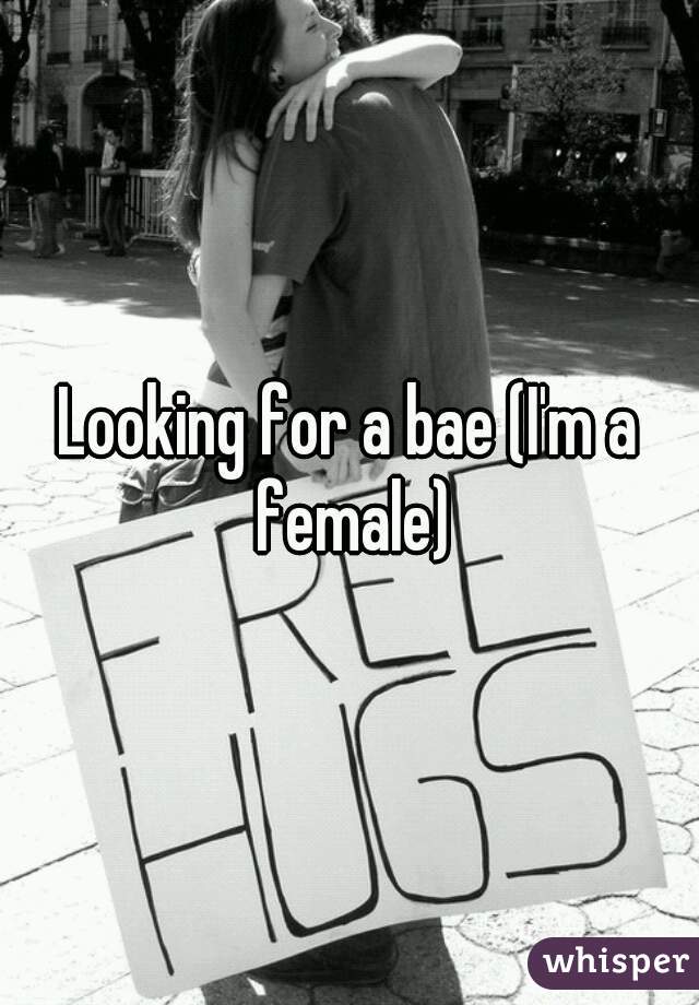 Looking for a bae (I'm a female)